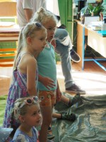 /album/a66/p1010523-large-jpg/